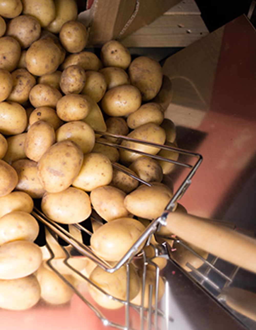 Potato Revolution